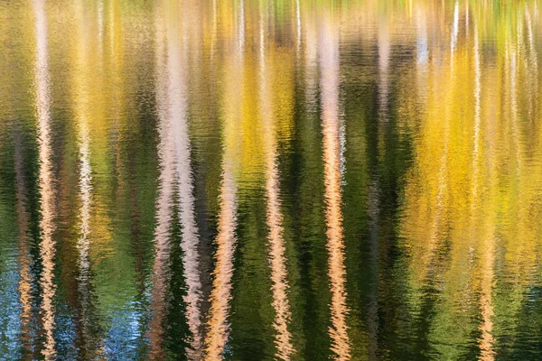 Fondo Abstracto Troncos Árboles Borrosos Superficie Del Río Día Soleado —  Fotos de Stock