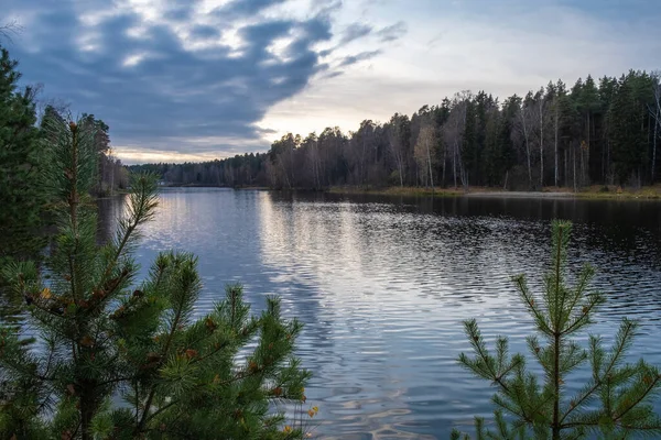 Krásná Vodní Krajina Oblačným Nebem Podzimním Lesem Oblačného Dne — Stock fotografie