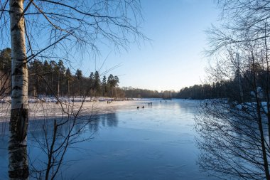 Soğuk ve güneşli bir günde, İvanovo şehrindeki Talka nehrinde kışın başlangıcı, Rusya. 