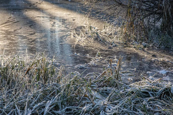 在冬日的阳光下 河岸上覆盖着霜冻的草丛 — 图库照片