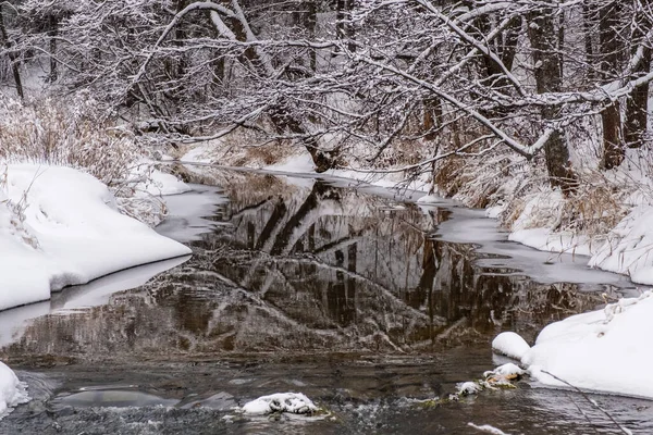 Odraz Kmenů Stromů Vodě Malé Říčky Břehy Pokrytými Sněhem Zamračeném — Stock fotografie