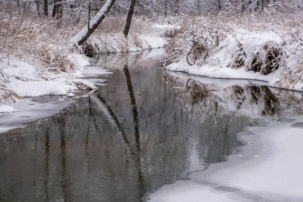 Reflejo Troncos Árboles Agua Pequeño Río Con Riberas Cubiertas Nieve — Foto de Stock