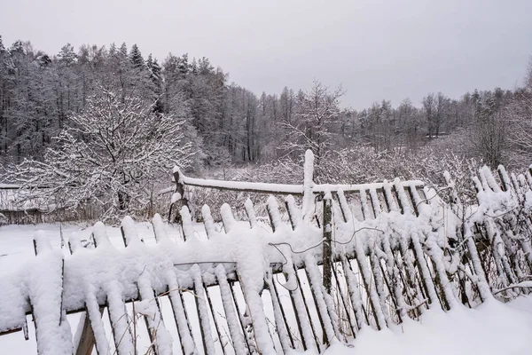 Rustic Winter Landscape Fallen Wooden Fence Covered Snow Cloudy Day — Stock Photo, Image