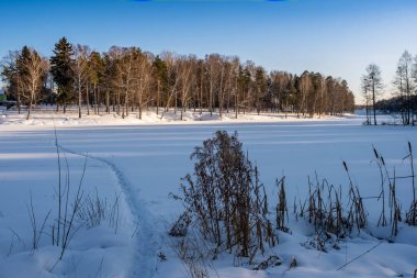 Rusya 'nın batan güneşinin ışınlarında bir ormanı ve donmuş bir nehri olan kış manzarası.