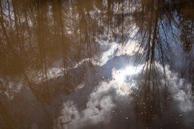 Yapraksız ağaçların yansıması, gökyüzü, bulutlar ve suda güneş. Bir soyutlama.