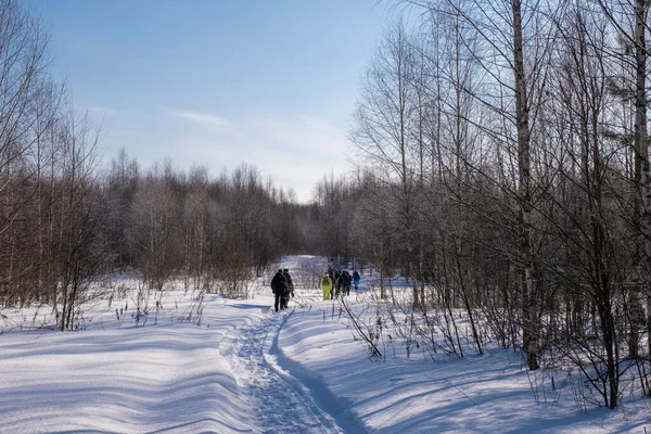 Группа Туристов Зимнем Снежном Лесу Солнечный День Россия — стоковое фото