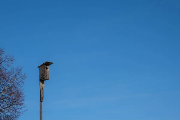 Dřevěná Ptačí Budka Vysoké Tenké Tyči Proti Modré Bezmračné Obloze — Stock fotografie