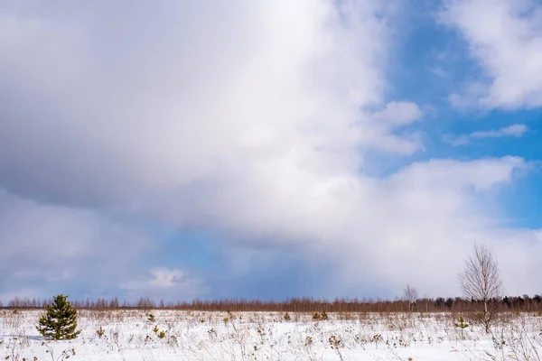Bela Paisagem Com Baixas Nuvens Cúmulos Dia Inverno Rússia — Fotografia de Stock