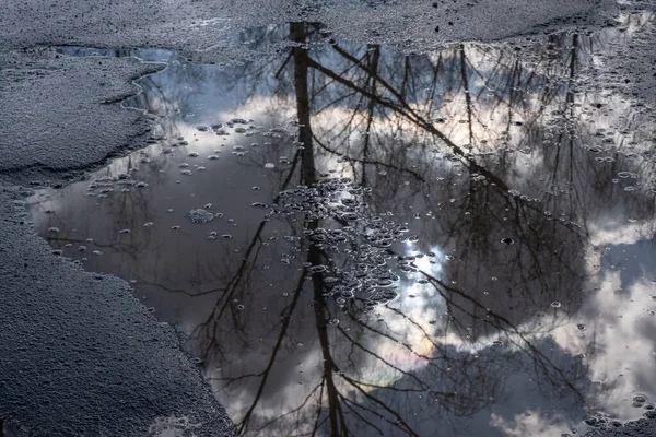 Reflejo Árboles Sin Hojas Cielo Nubes Sol Charco Sobre Asfalto —  Fotos de Stock