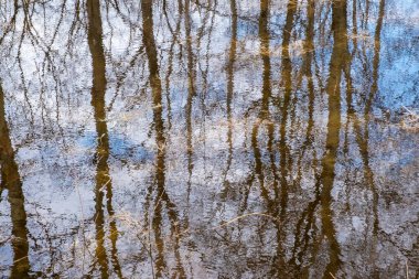 Mavi gökyüzünün yansıması, bulutlar ve ağaç gövdeleri suyun içinde. Bir soyutlama.