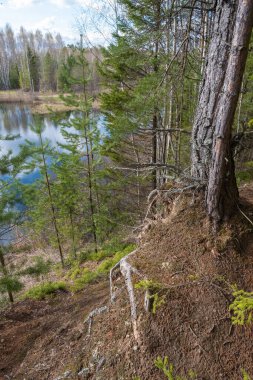 Güneşli bir bahar gününde, Rusya 'da, gölün kıyısında dik bir sahil.. 