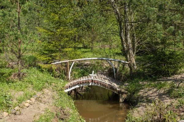 Uma Pequena Ponte Madeira Fonte Sagrada Irinarch Recluse Distrito Borisoglebsky — Fotografia de Stock