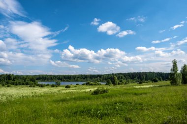 Tarlası, nehri ve güzel bulutlu gökyüzü Rusya 'nın güzel yaz manzarası.. 