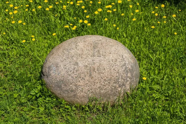 Una Gran Piedra Ovalada Sobre Fondo Hierba Verde Dientes León — Foto de Stock