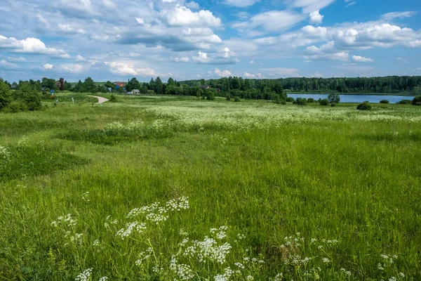 Ländliche Landschaft Mit Einem Feld Und Einem Fluss Und Einem — Stockfoto