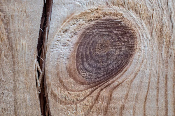 Hermosa Textura Árbol Con Nudo Sección Tomada Cerca — Foto de Stock