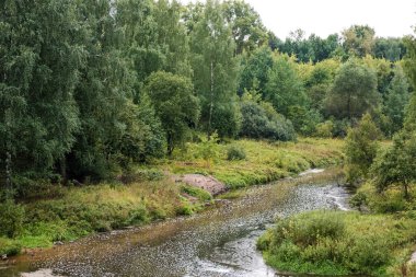 Bir yaz günü, yoğun yeşil bir ormanın ortasında küçük bir nehir, Rusya.