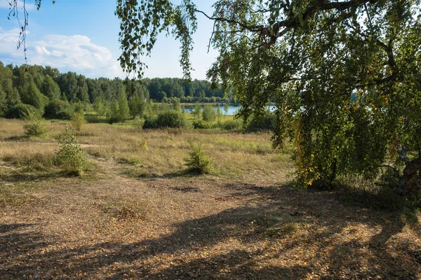 View Lake Yellow Green Birch Leaves Sunny Day Russia — Stock Photo, Image