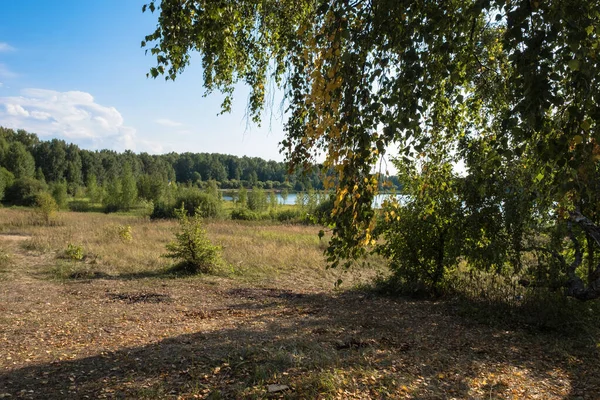 黄色と緑の白樺の葉を通して湖の景色は晴れた日に ロシア — ストック写真