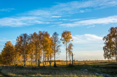 Sonbahar manzarası.