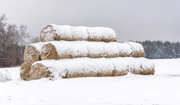Круглые стоги сена, покрытые снегом . — стоковое фото