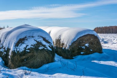Yuvarlak haystacks. 