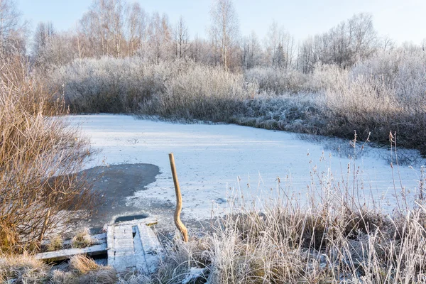 Un pequeño estanque congelado . — Foto de Stock