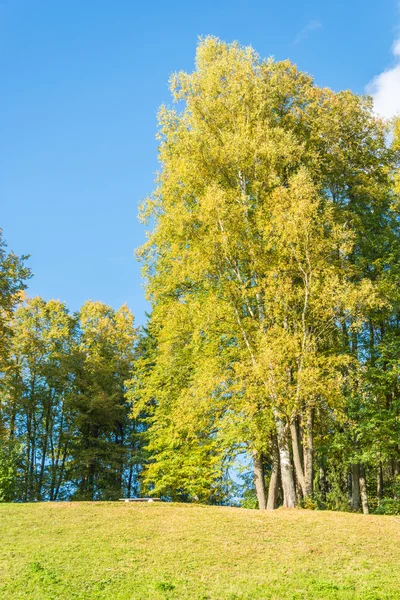 The beginning of autumn. — Stock Photo, Image