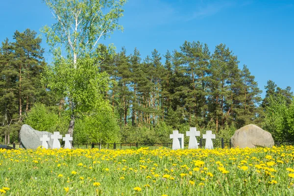 Tyska fång av krigskyrkogård i staden Lezhnevo Ivanovo re — Stockfoto