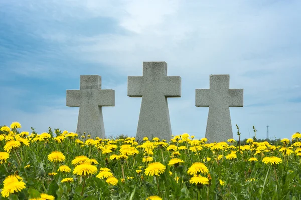 Prisioneiros alemães de cemitério de guerra na cidade Lezhnevo Ivanovo re — Fotografia de Stock