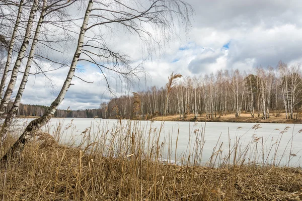 Våren landskap. — Stockfoto