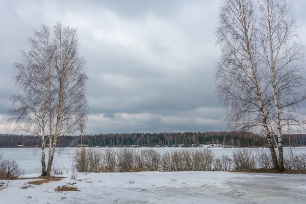 Två björkar och en flod. — Stockfoto