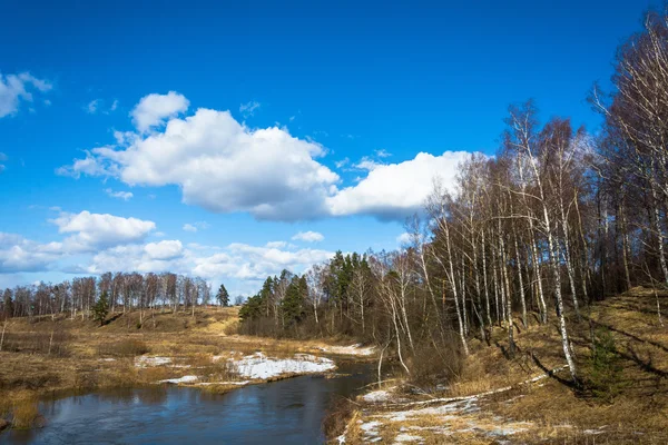 Våren landskap. — Stockfoto