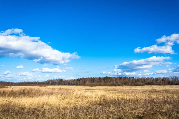 Frühlingslandschaft. — Stockfoto