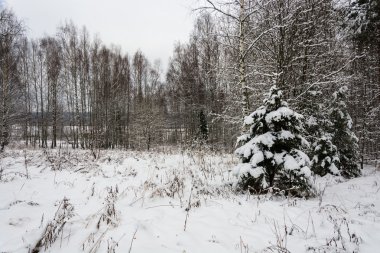 Kış başlangıcı. 