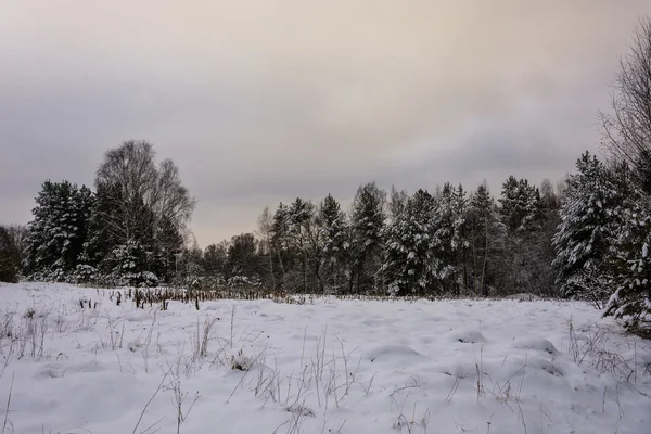 El comienzo del invierno . —  Fotos de Stock