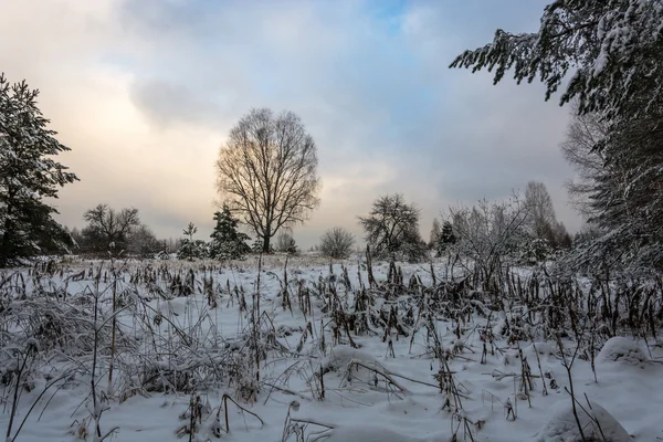 El comienzo del invierno . — Foto de Stock