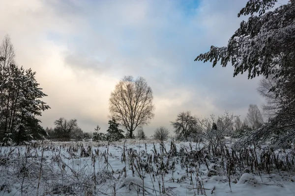 El comienzo del invierno . — Foto de Stock