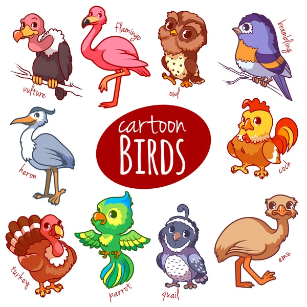 Conjunto de pássaros de desenhos animados . — Vetor de Stock