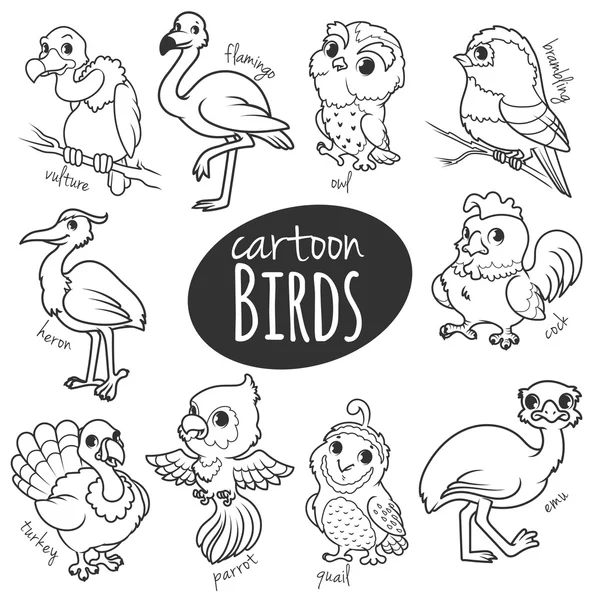 Reihe von Zeichentrickvögeln. — Stockvektor