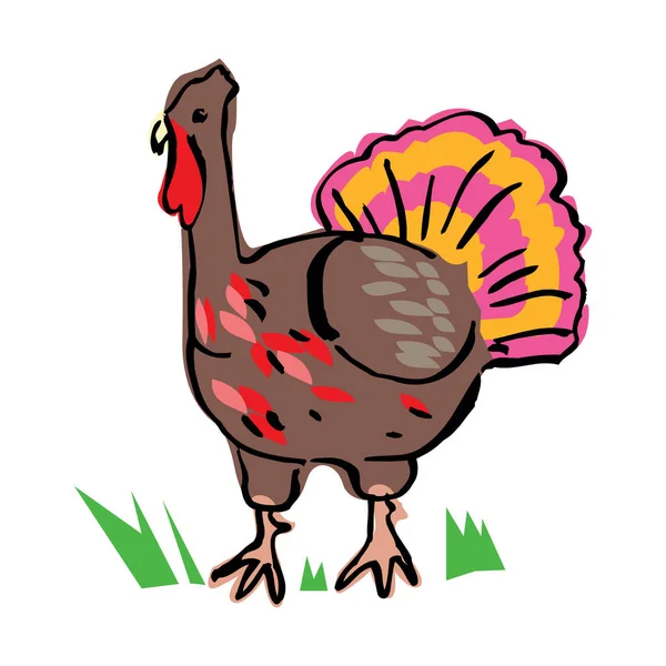 Turkey Bird Cartoon Mascot Character Vector Illustration Flat Design Isolated — Stock Vector