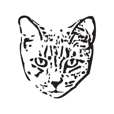 Beyaz arka planda kedi yüz tasarımı vektörü, Pet. 10 numarada hayvanlar var.