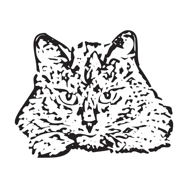 Vecteur d'un dessin de visage de chat sur fond blanc, Pet. Animaux en eps 10 — Image vectorielle