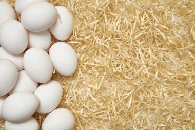 Ahşap talaşı üzerine beyaz tavuk yumurtası. Paskalya. Yukarıdan yakın çekim. Şablon. Metin için yer.