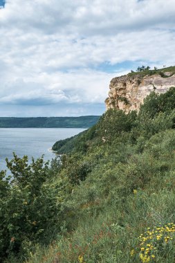 Nehirdeki kanyon. Dikey fotoğraf. Bulutlu gökyüzü. Yeşil çimenler. Sarı kır çiçekleri.