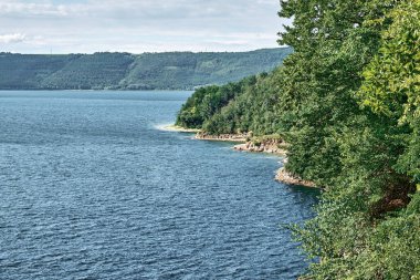 Yeşil sahil. Yaprak döken ağaçlar. Kanyonun kayalık kıyısı.