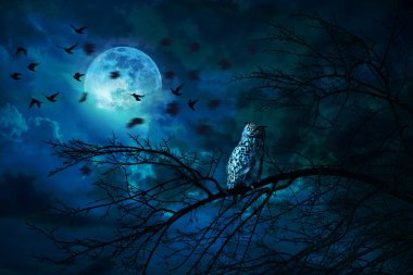 Dolunaylı esrarengiz gece sahnesi, ağaç dalında baykuş ve uçan kuşlar. Bulutlu koyu mavi gökyüzü ürkütücü, atmosferik bir manzara yaratır..
