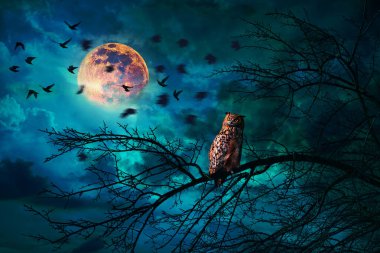 Gece karanlığında bulutlu gökyüzünde uçan kuşlarla dolu parlak bir dolunayın altında bir ağaç dalında oturan baykuş. Gizemli ve atmosferik vahşi yaşam gecesi sahnesi.