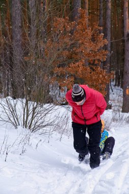 Yetişkin bir adam, karlı bir ormanda kızağın tepesinde bir çocuğu çekiyor. Kış aile aktivitesi, açık hava eğlencesi, ebeveynler ve çocuklar soğuk mevsimin tadını çıkarıyorlar..