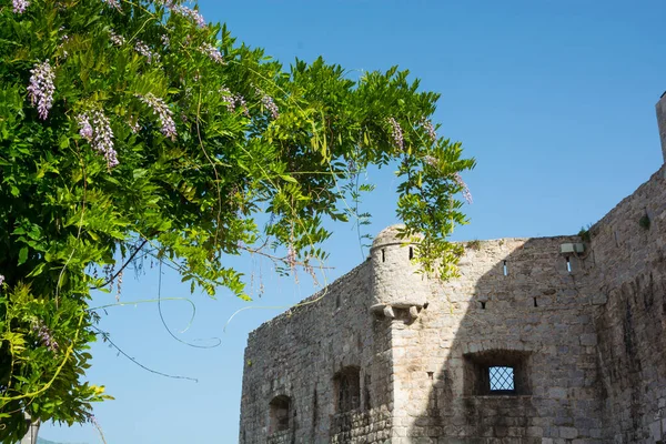 Fortaleza Casco Antiguo Budva Montenegro — Foto de Stock